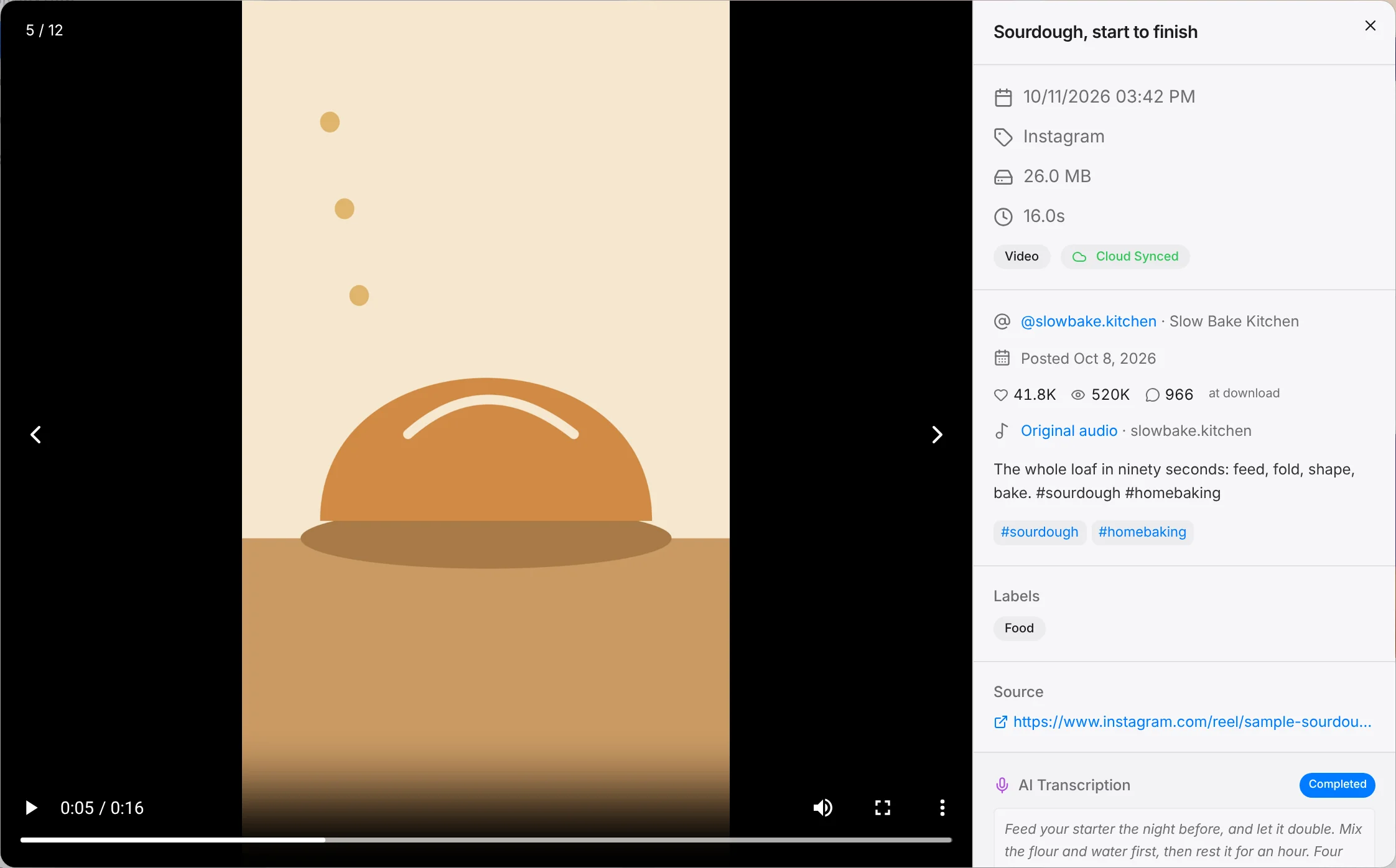 A saved Instagram reel open in SnapDown's player, with the creator, posting date, 41.8K likes and 520K views at download, the soundtrack, the caption and hashtags, its label, and a completed transcript.